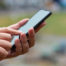 Person typing on cell phone
