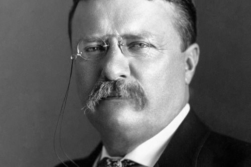 Portrait of President Theodore Roosevelt