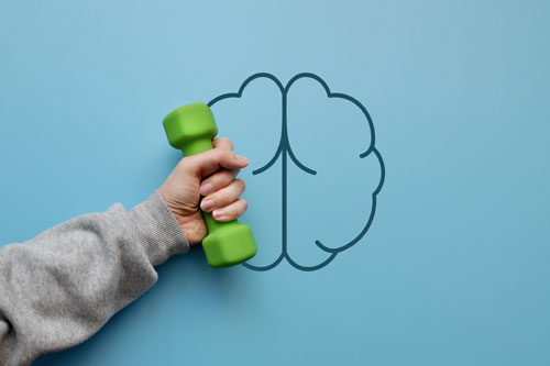 The silhouette of the brain and dumbbells in it. A symbol of exercises for brain development
