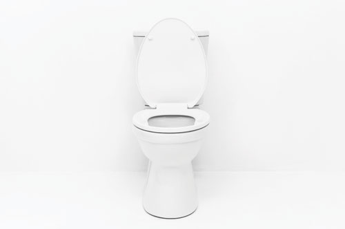 toilet on a white background
