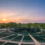 muny stage in Forest Park