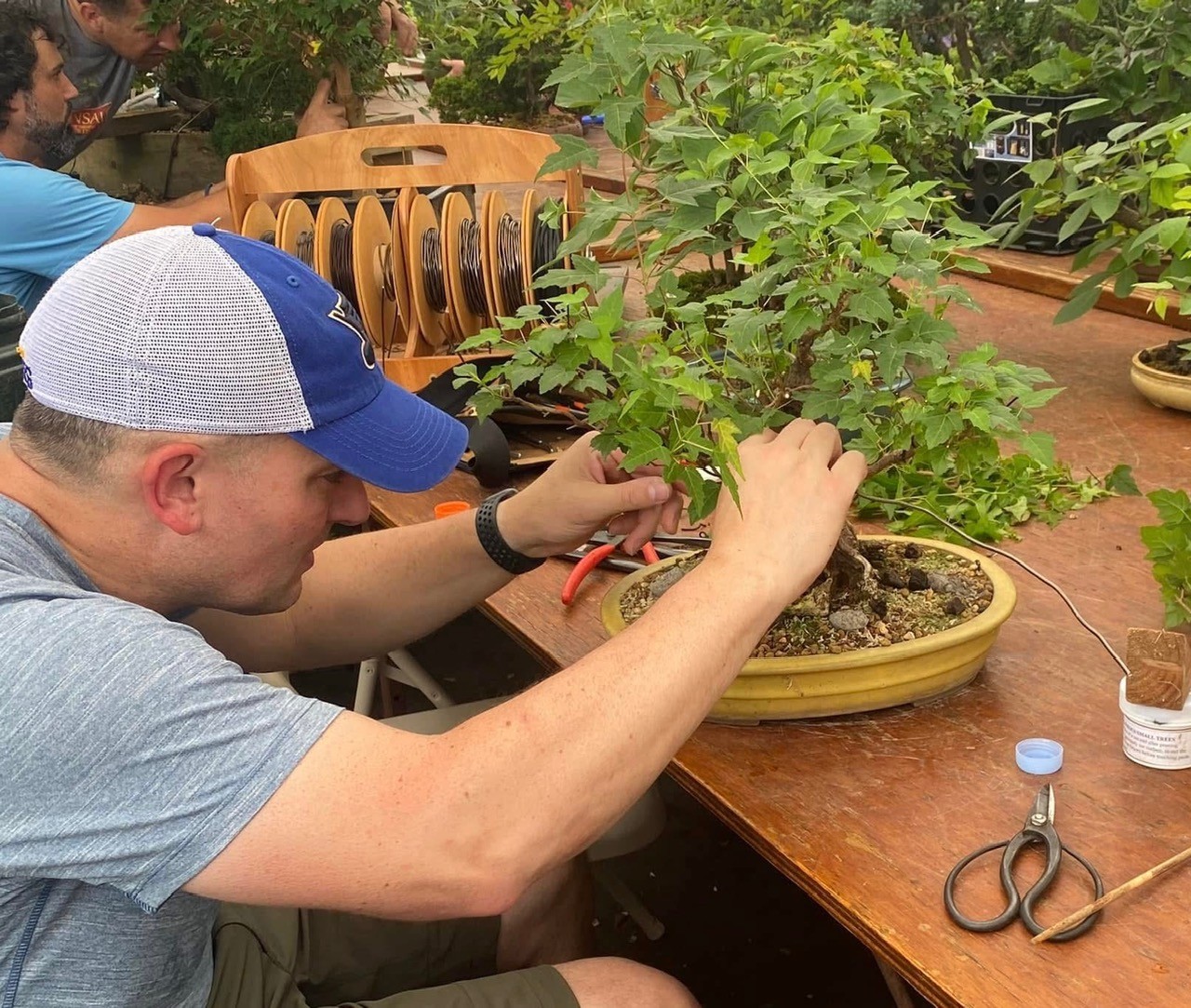 Bonsai : A Patient Art
